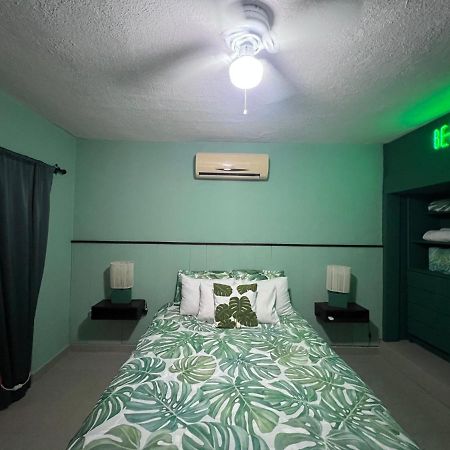 Bed and Breakfast Dici Co-Living Housing Кабо-Сан-Лукас Екстер'єр фото