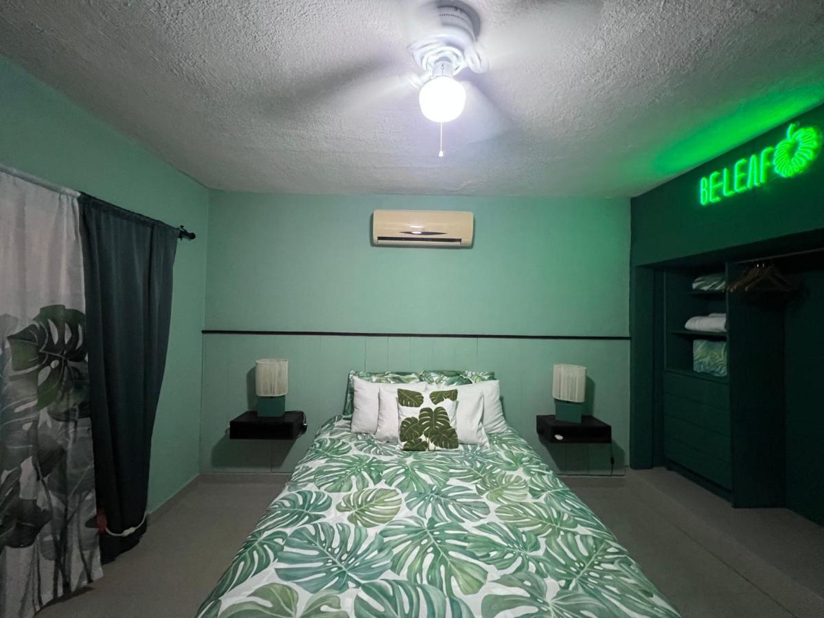 Bed and Breakfast Dici Co-Living Housing Кабо-Сан-Лукас Екстер'єр фото