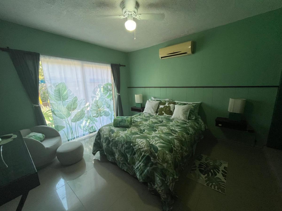 Bed and Breakfast Dici Co-Living Housing Кабо-Сан-Лукас Екстер'єр фото